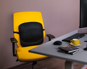 پشتی طبی بارادLs1